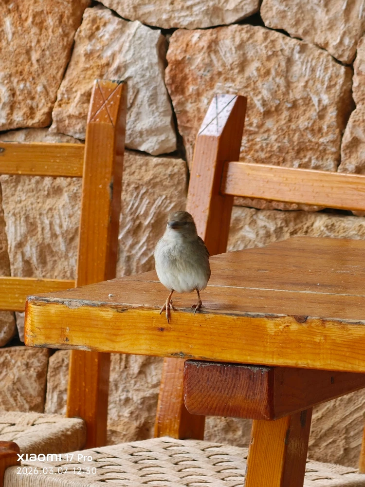 Imagen subida por Msd