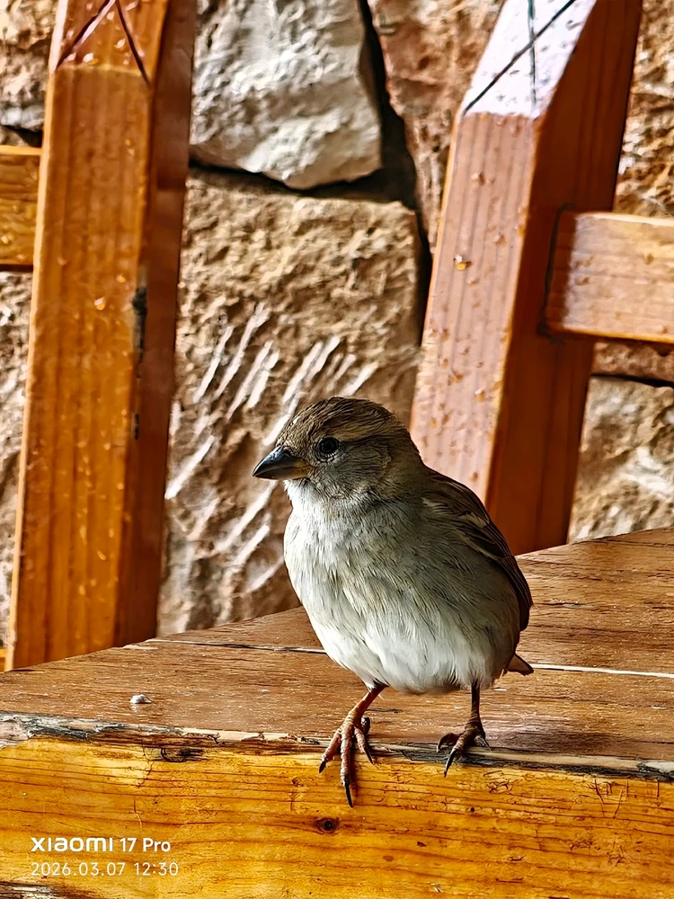 Imagen subida por Msd