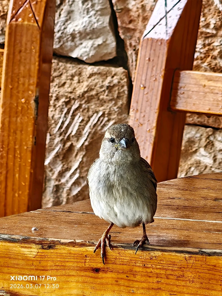 Imagen subida por Msd