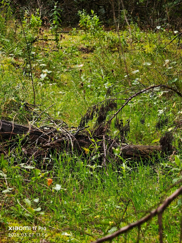 Imagen subida por Msd