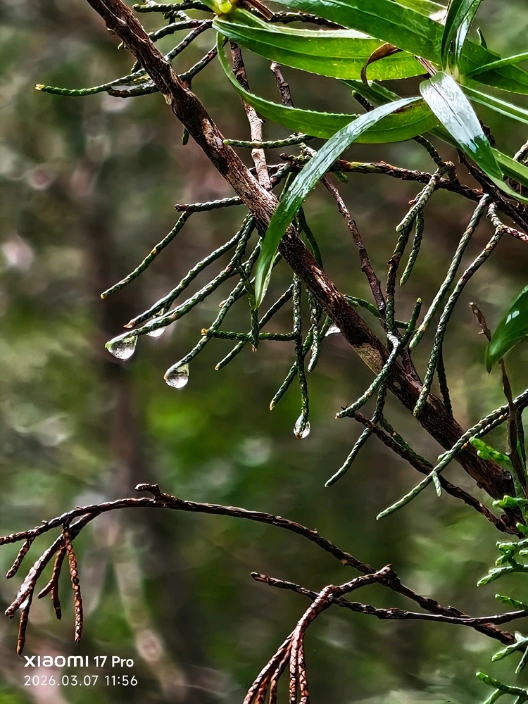 Imagen subida por Msd