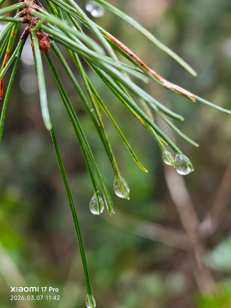 Imagen subida por Msd