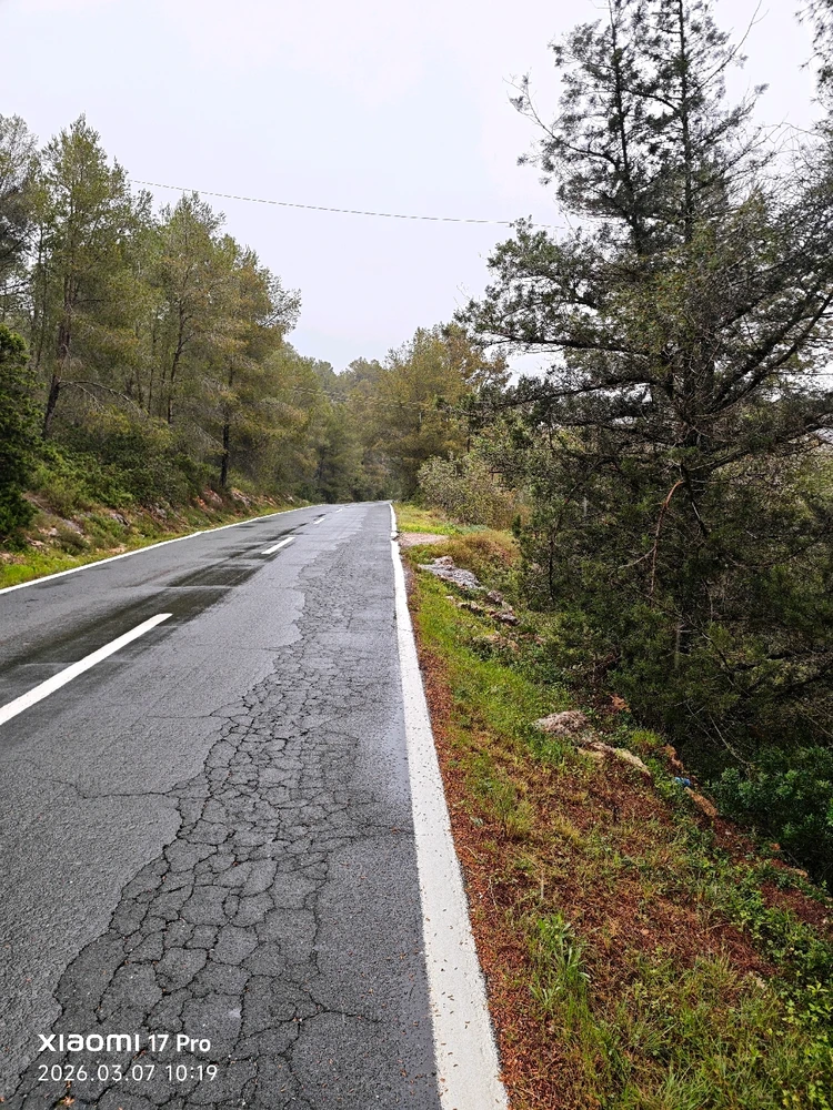 Imagen subida por Msd