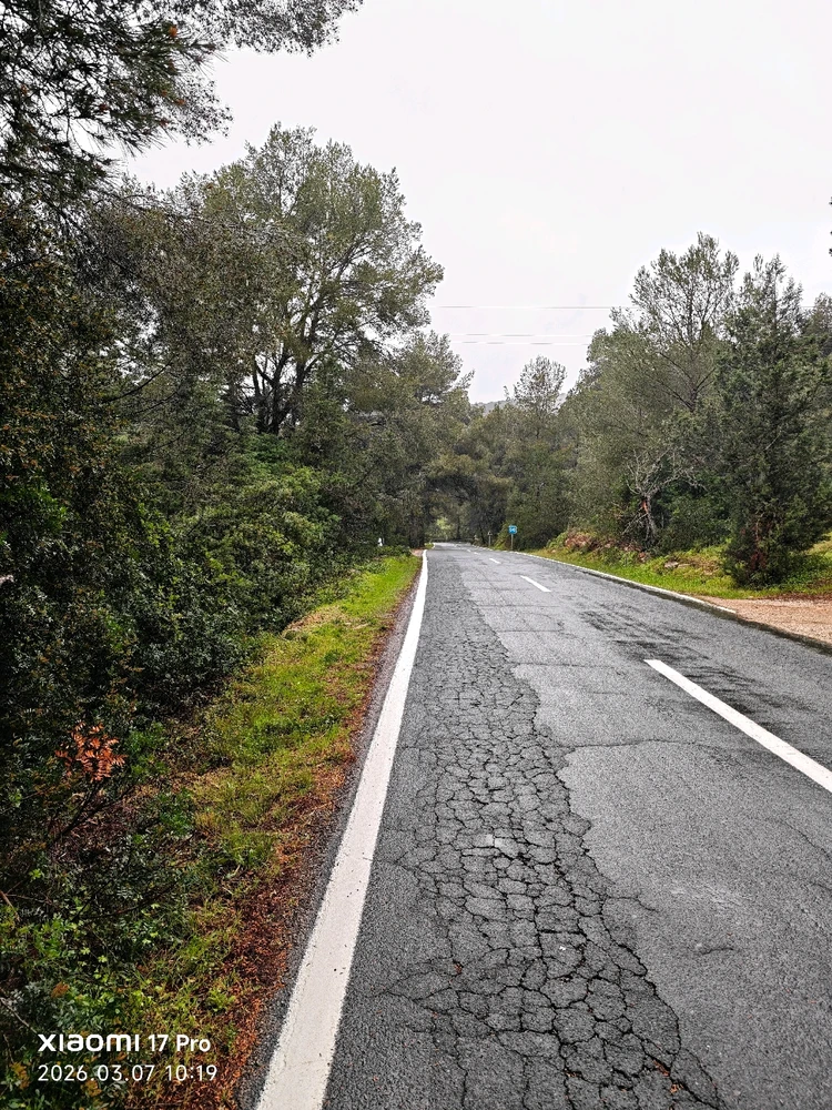 Imagen subida por Msd