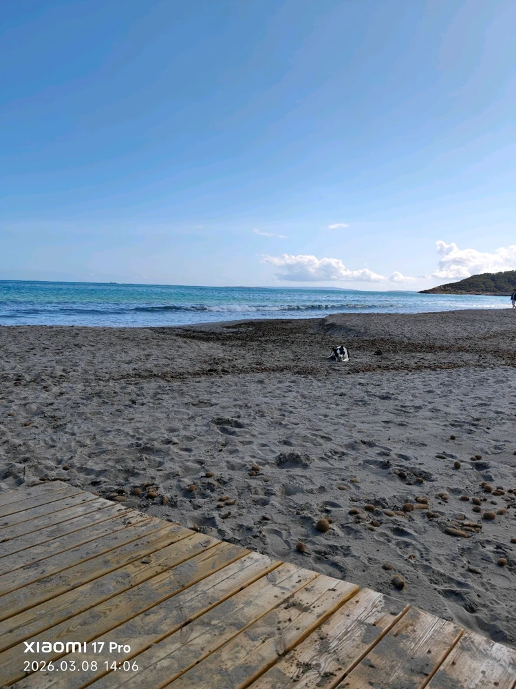 Imagen subida por Msd