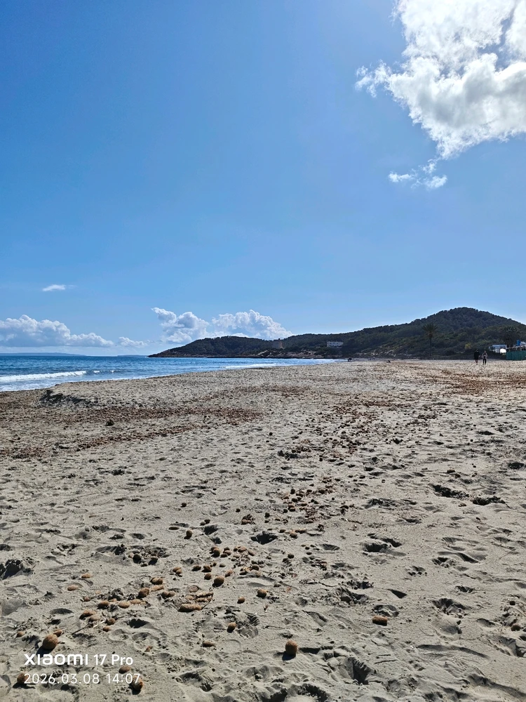 Imagen subida por Msd