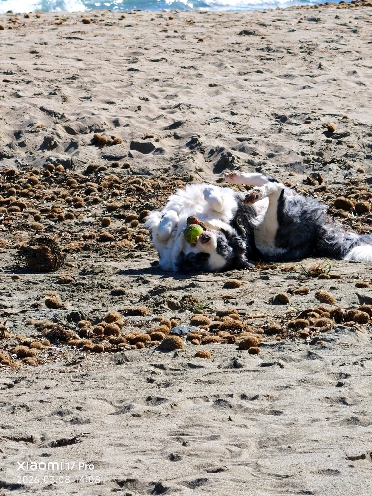 Imagen subida por Msd