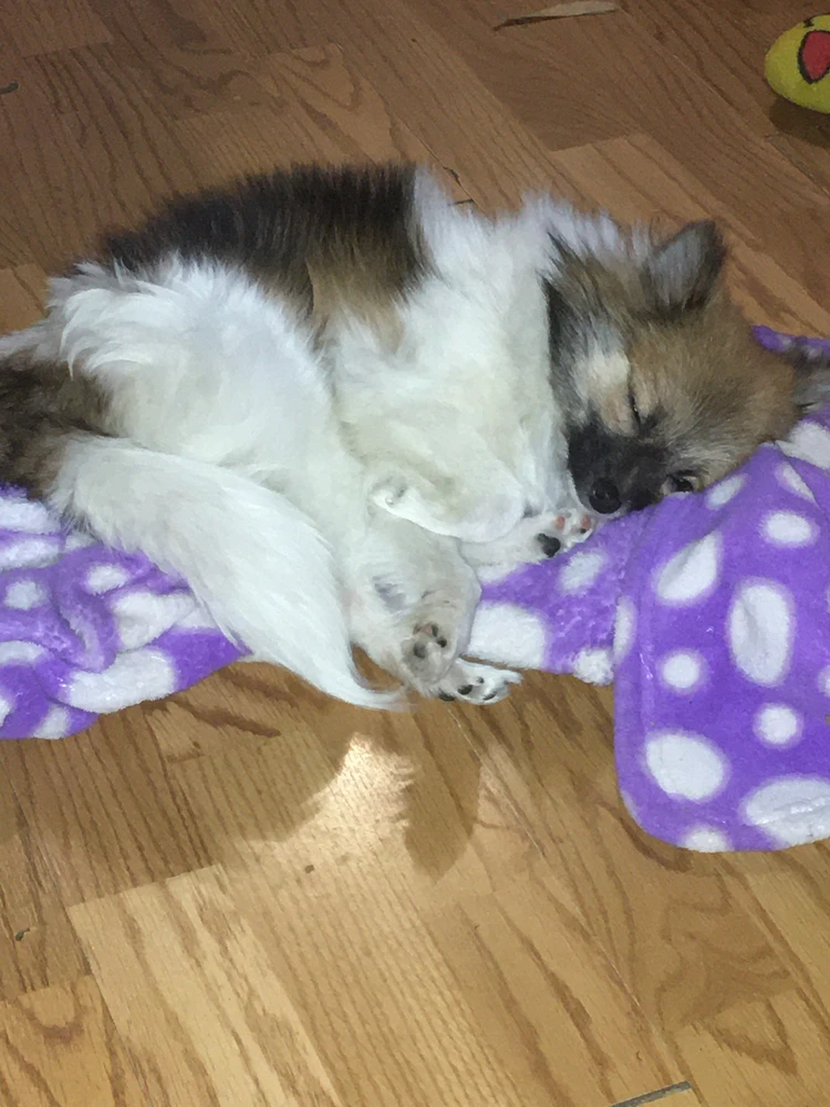 GIF uploaded by Kiersten