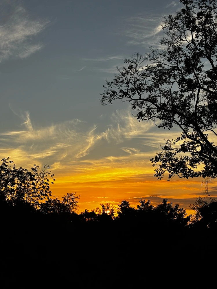 GIF uploaded by John Vic