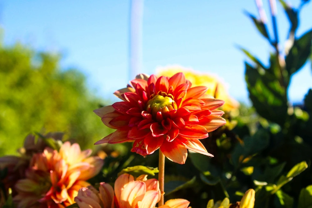 GIF uploaded by Bill