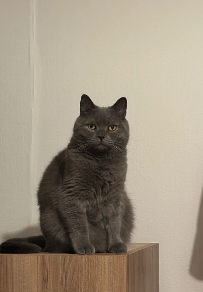 GIF uploaded by Jhade