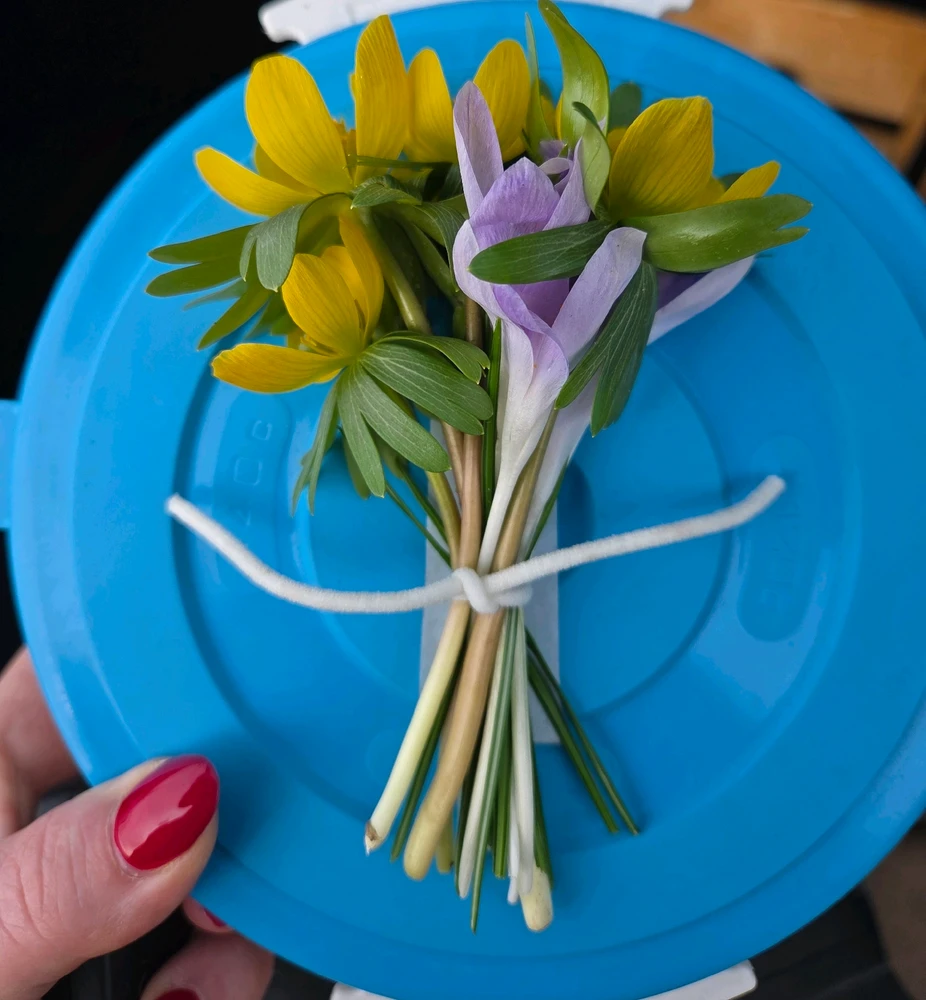 Obrázek nahrál Peťule