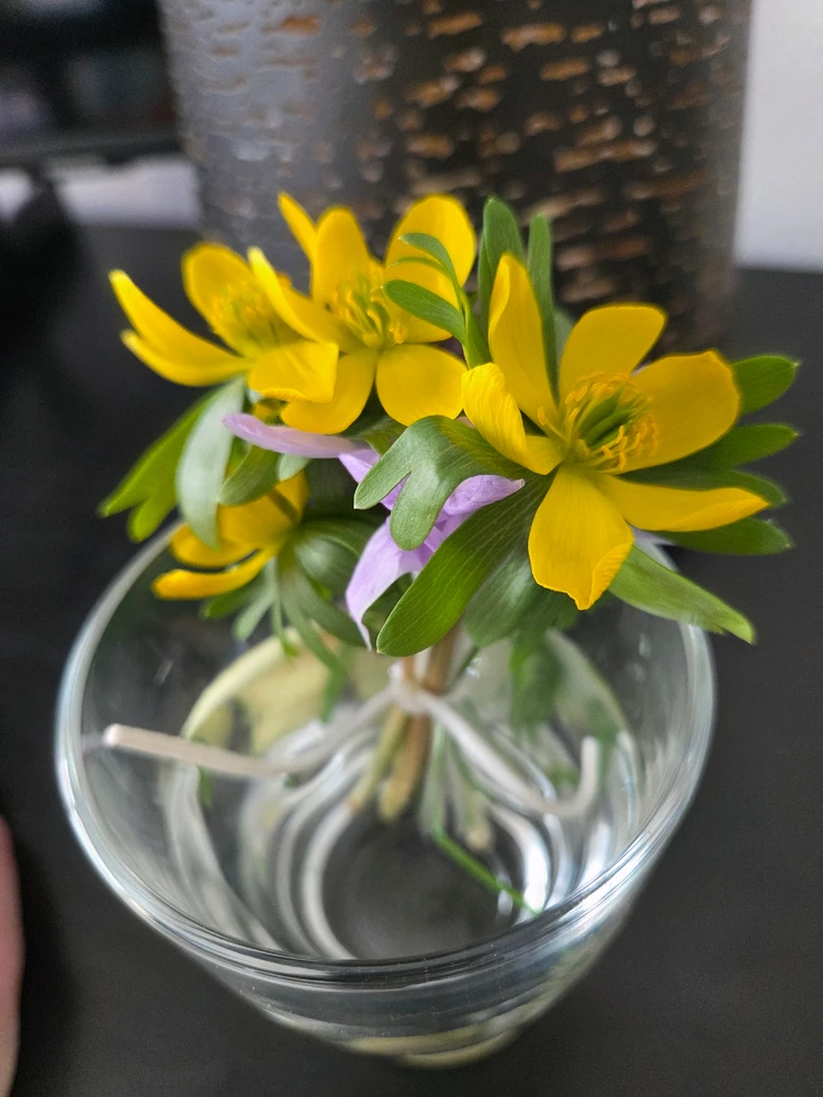 Obrázek nahrál Peťule