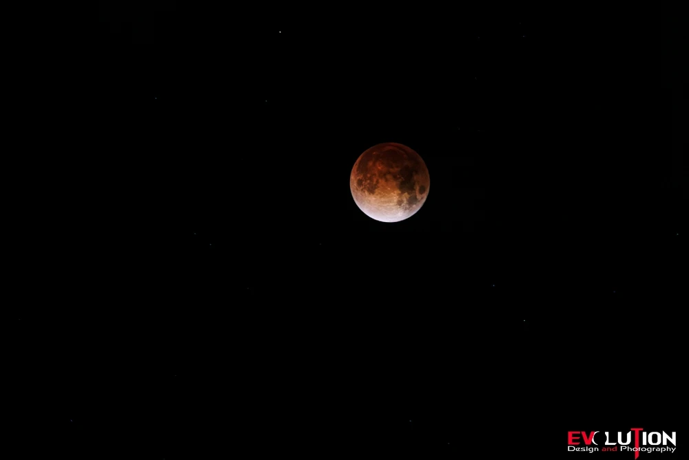 Image uploaded by Richard