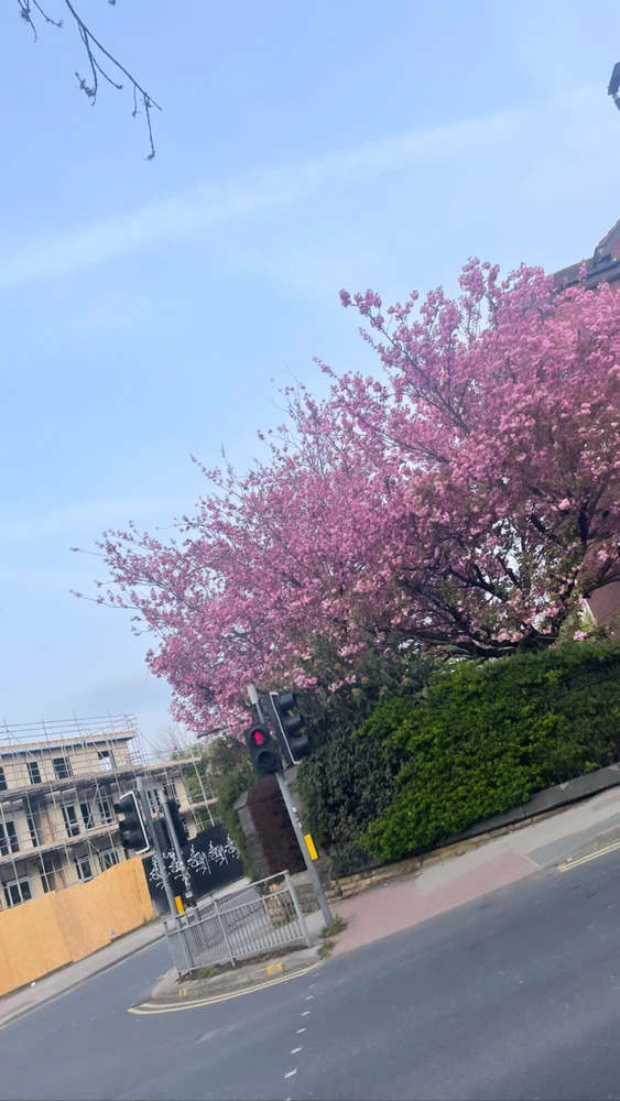 GIF uploaded by Shira