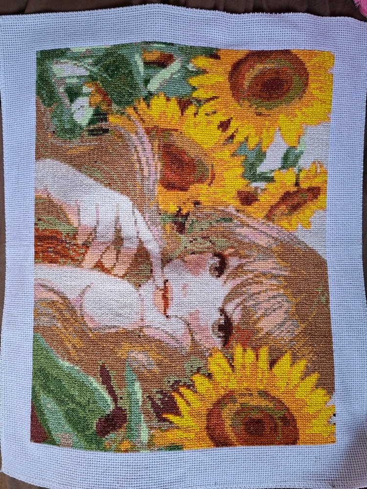 GIF ajouté par Clarisse