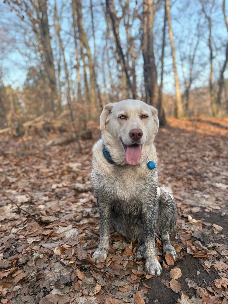 Zdjęcie dodane przez Piotr