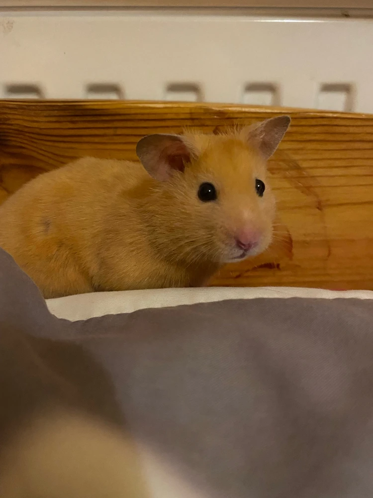 GIF uploaded by Natálie