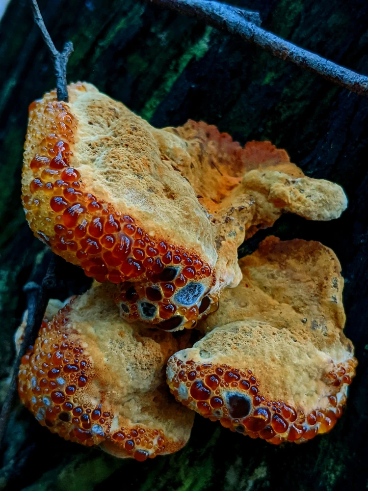 GIF uploaded by Chris