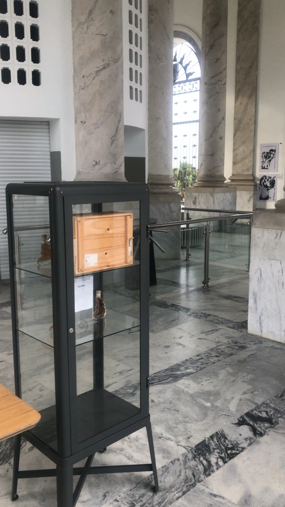 Imagen subida por Elvismvp