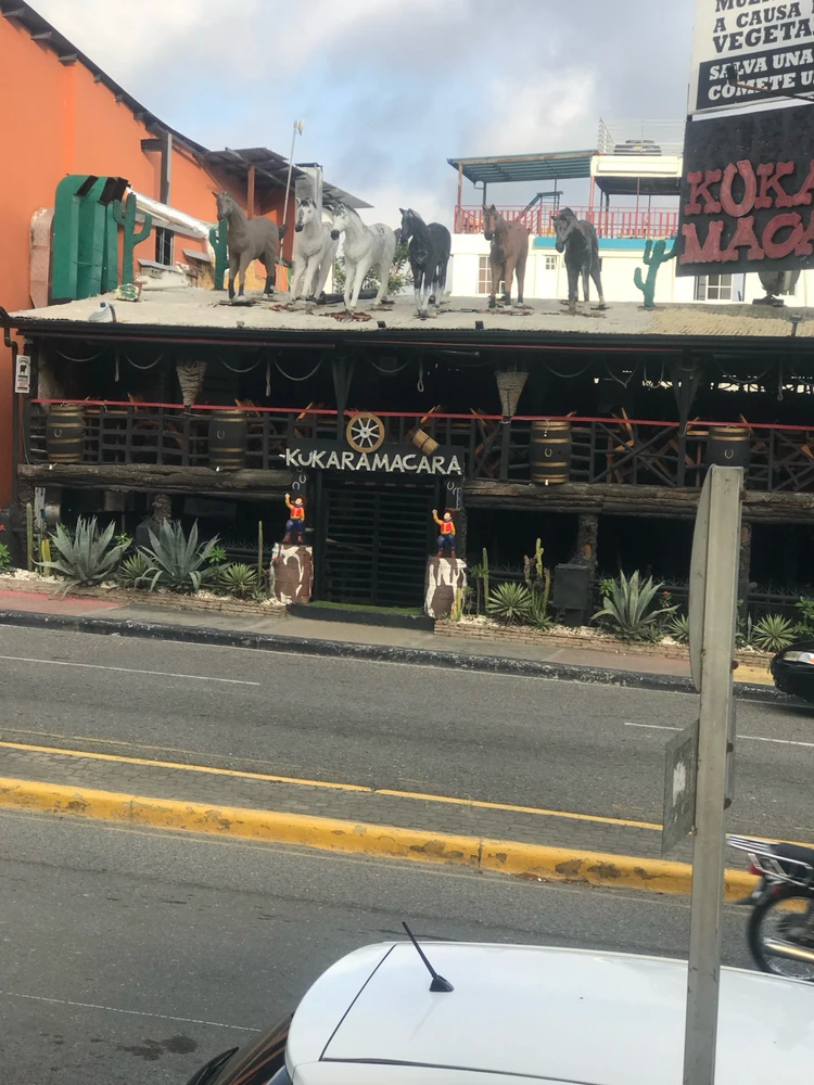 Imagen subida por Elvismvp