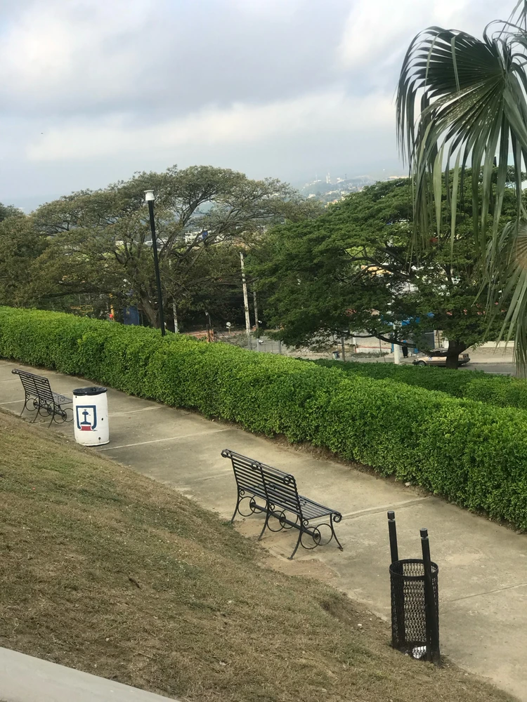 Imagen subida por Elvismvp