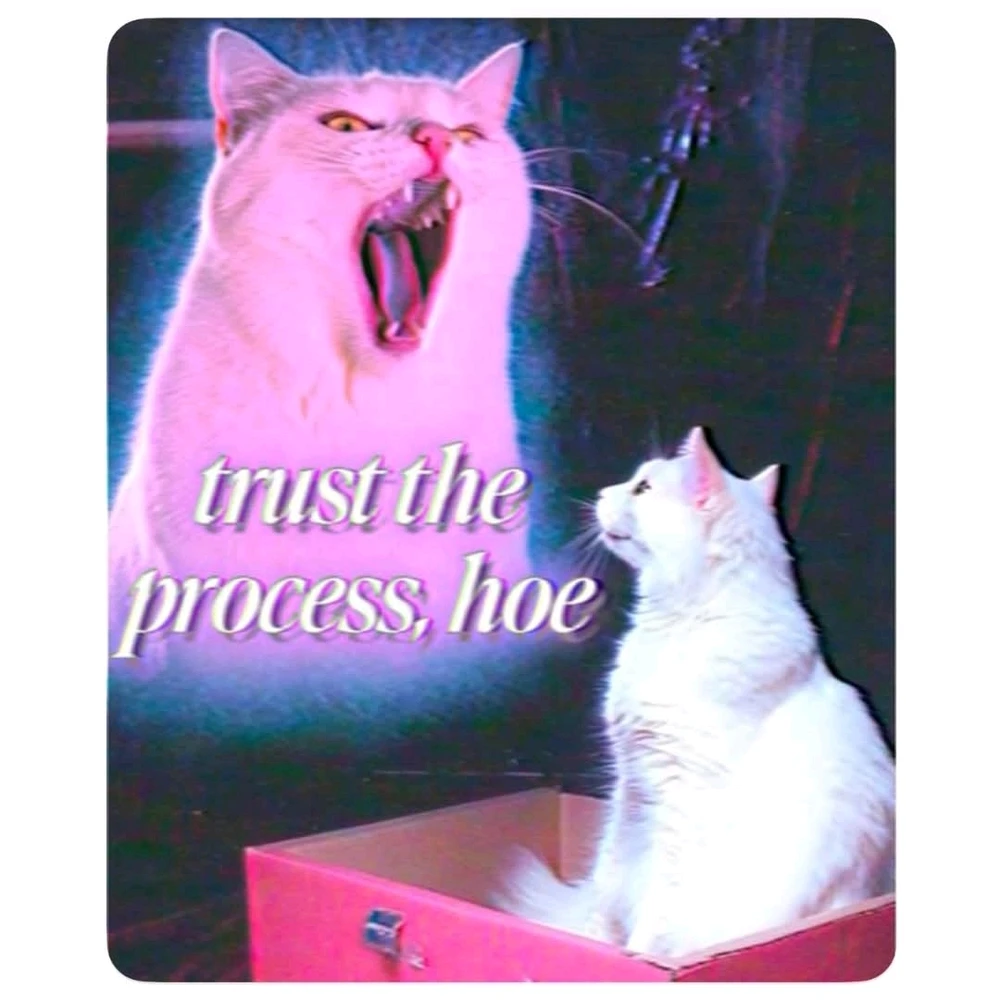 GIF uploaded by Lyndsay