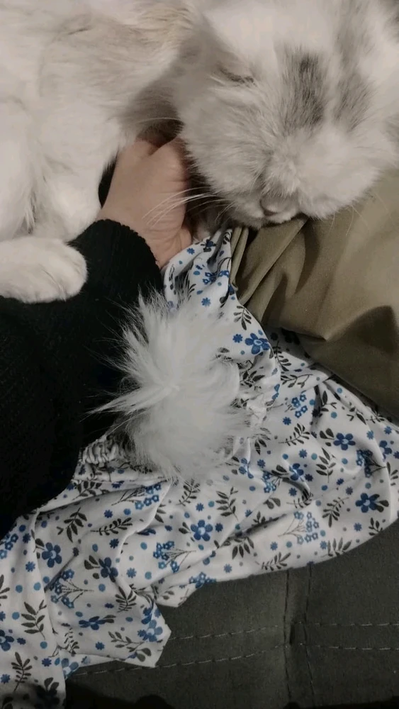 GIF رفعها Suzar