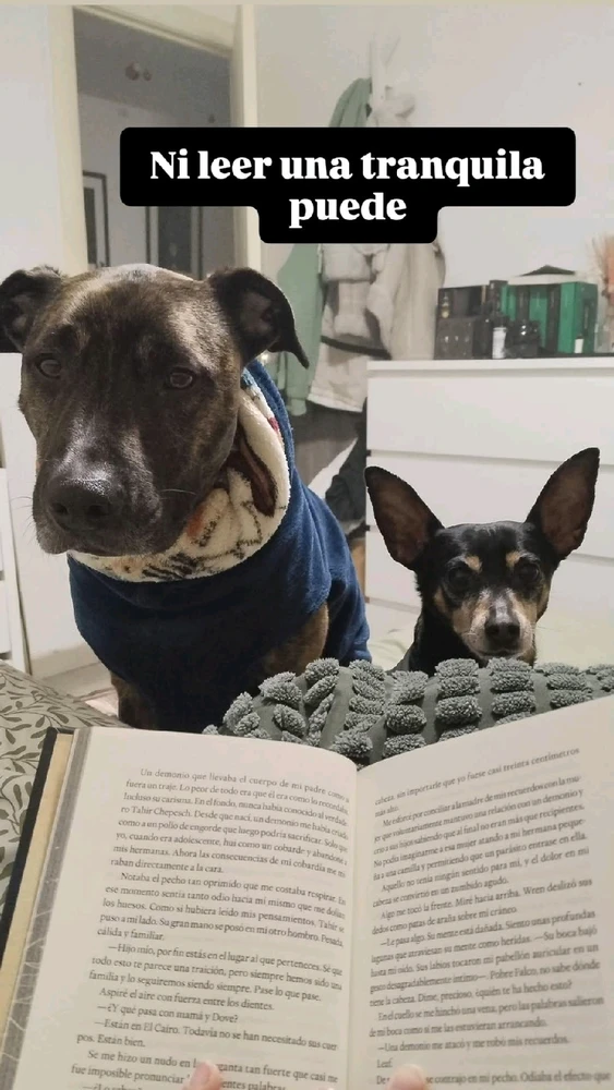 GIF subido por Sheyla