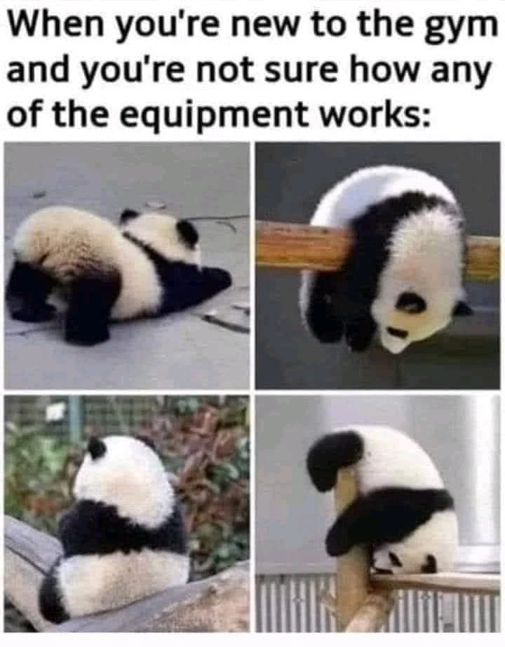 GIF uploaded by Georgina