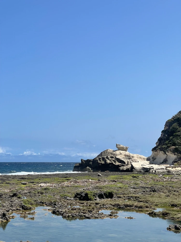 Image uploaded by Jeyan