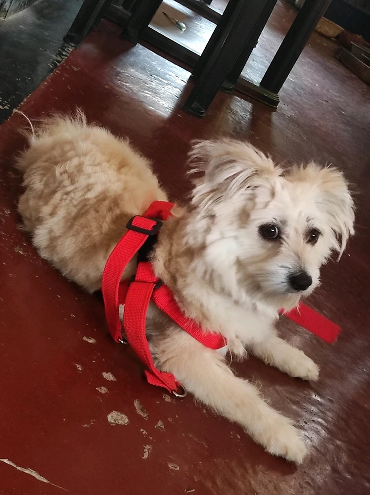 GIF uploaded by Esha