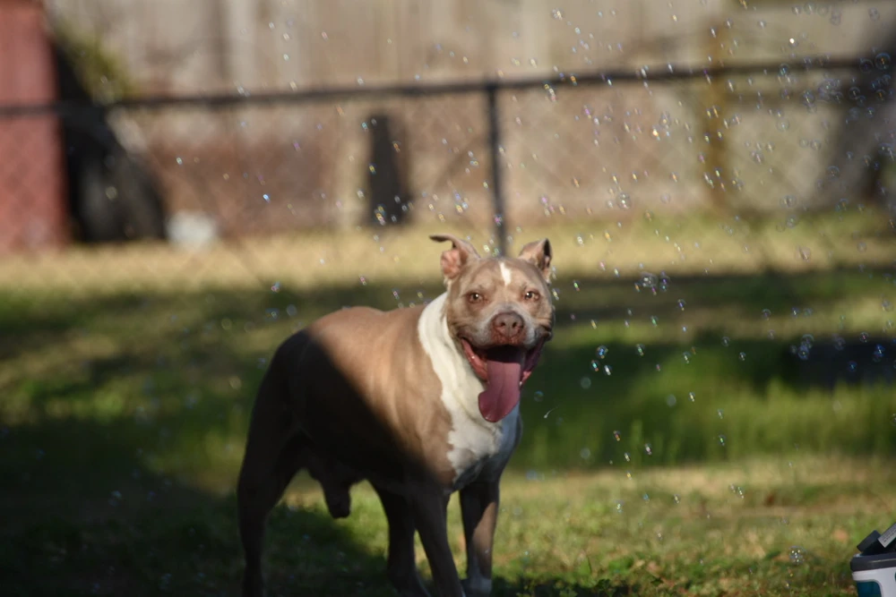 Image uploaded by Will