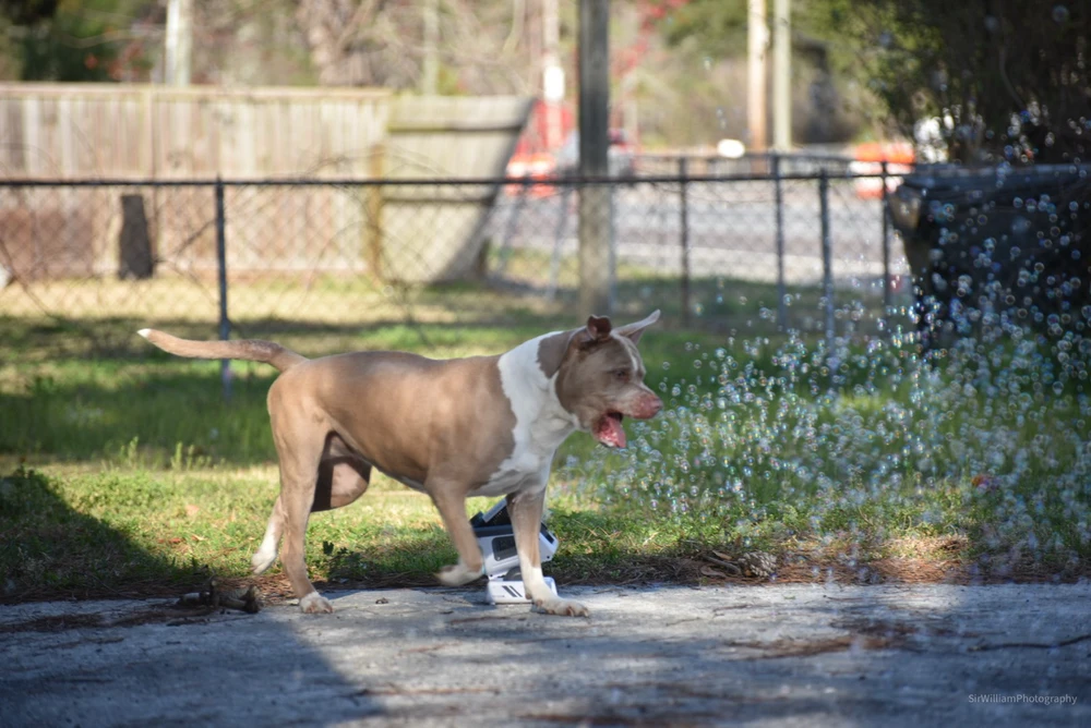 Image uploaded by Will