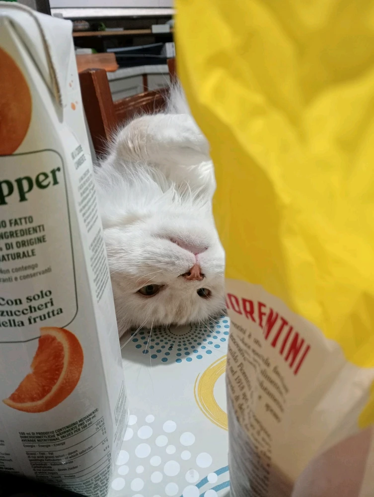 GIF caricata da Paolo