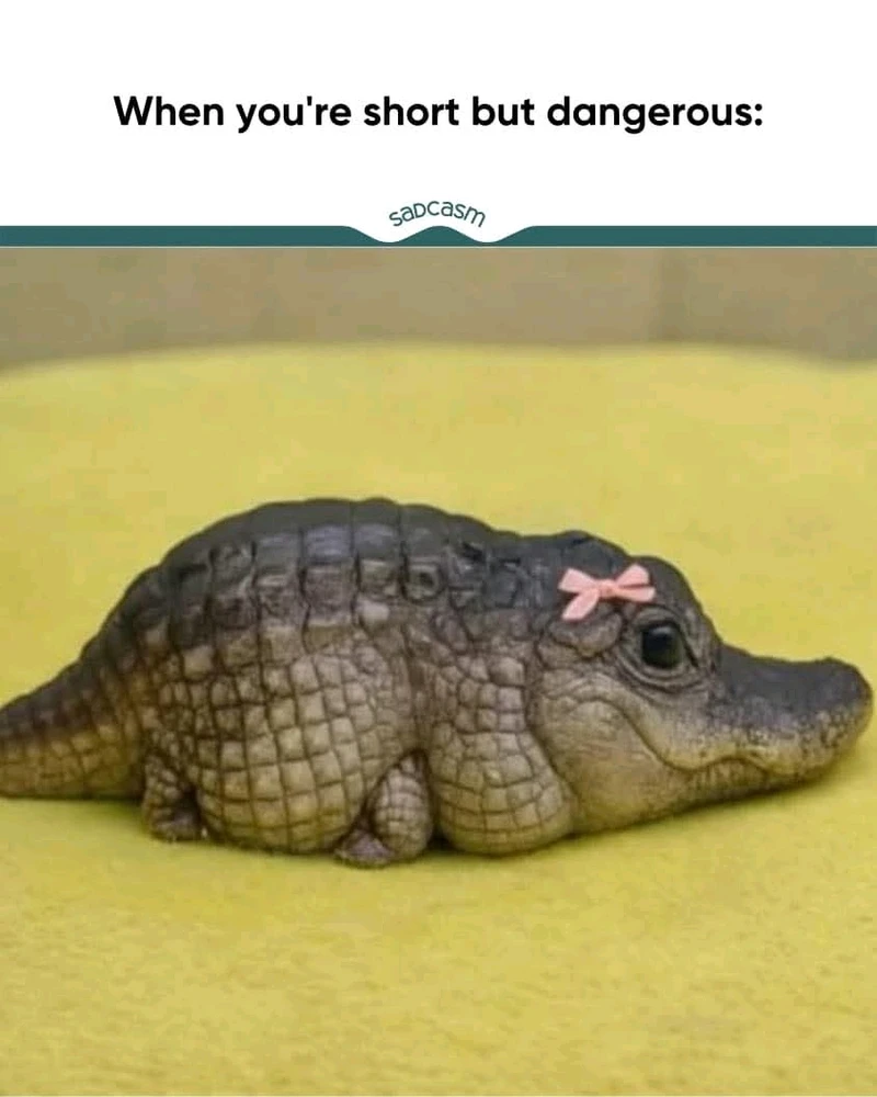 GIF uploaded by Kerry