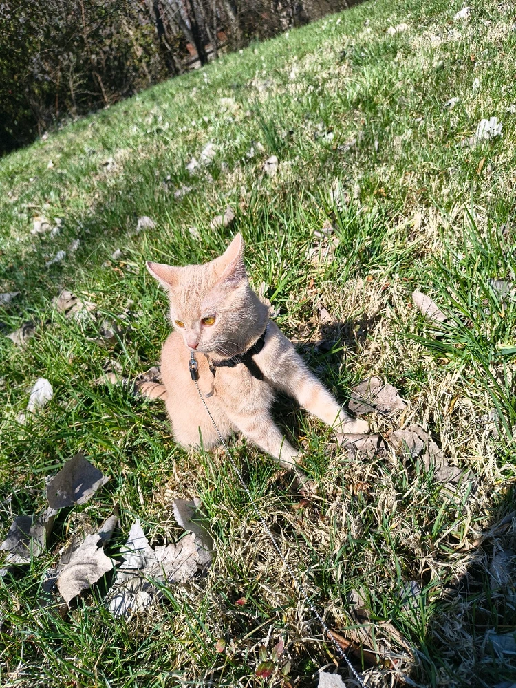 Image uploaded by Austin