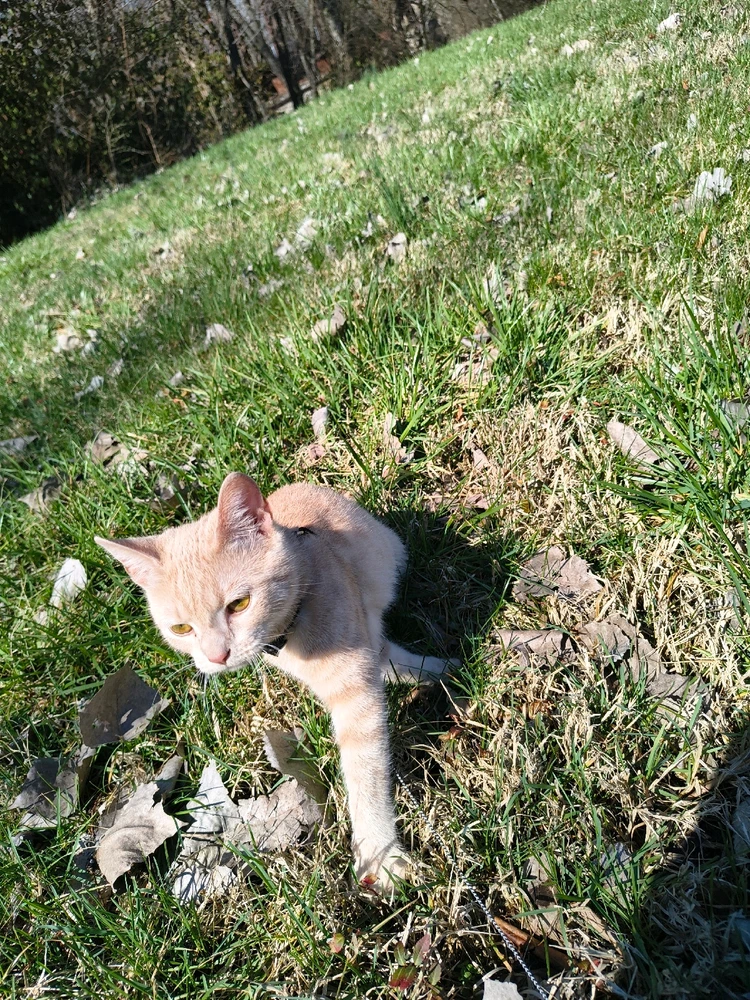 Image uploaded by Austin