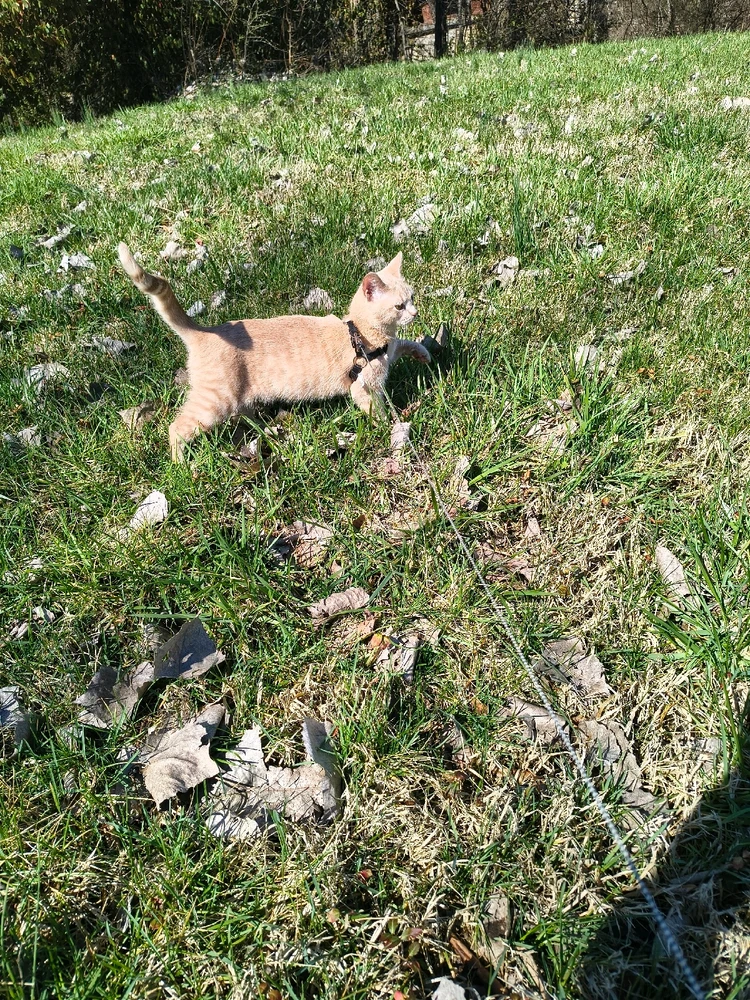 Image uploaded by Austin