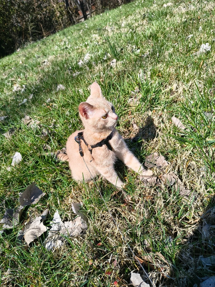 Image uploaded by Austin