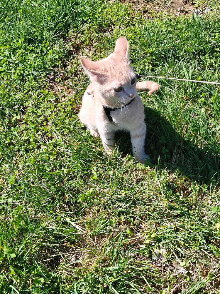 Image uploaded by Austin