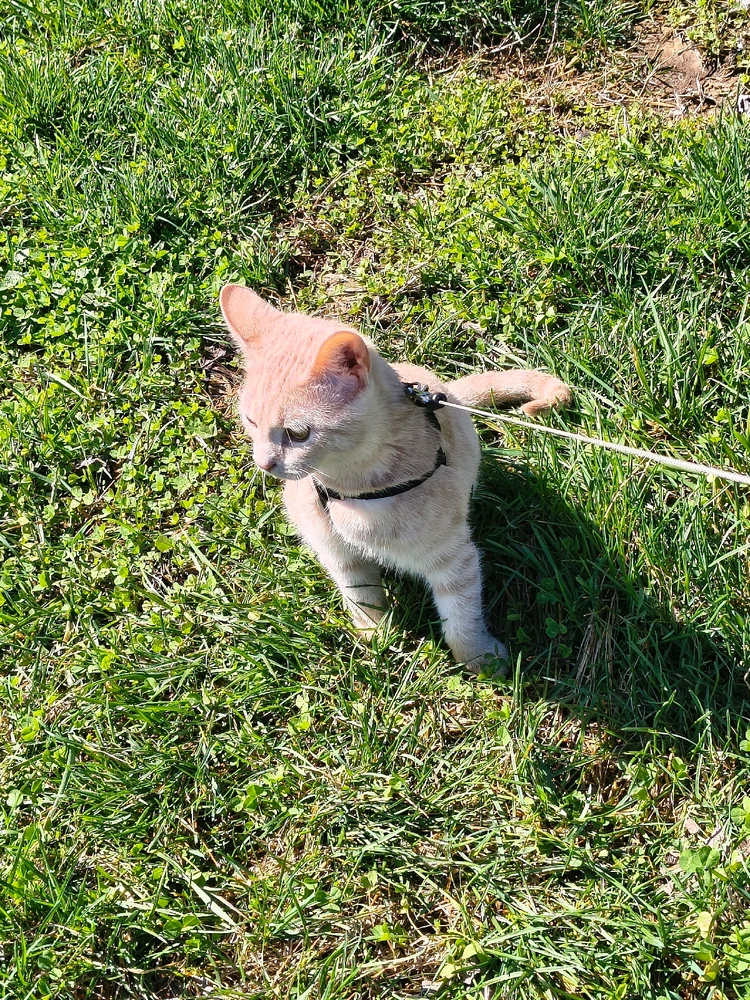 Image uploaded by Austin