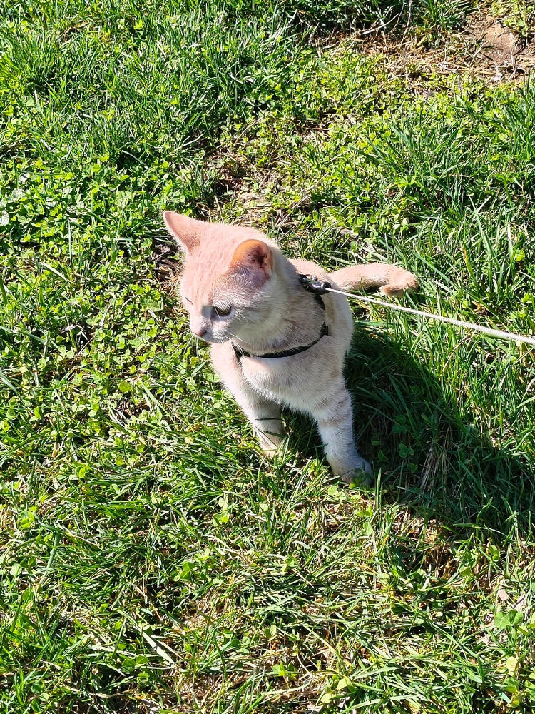 Image uploaded by Austin