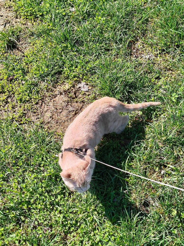 Image uploaded by Austin