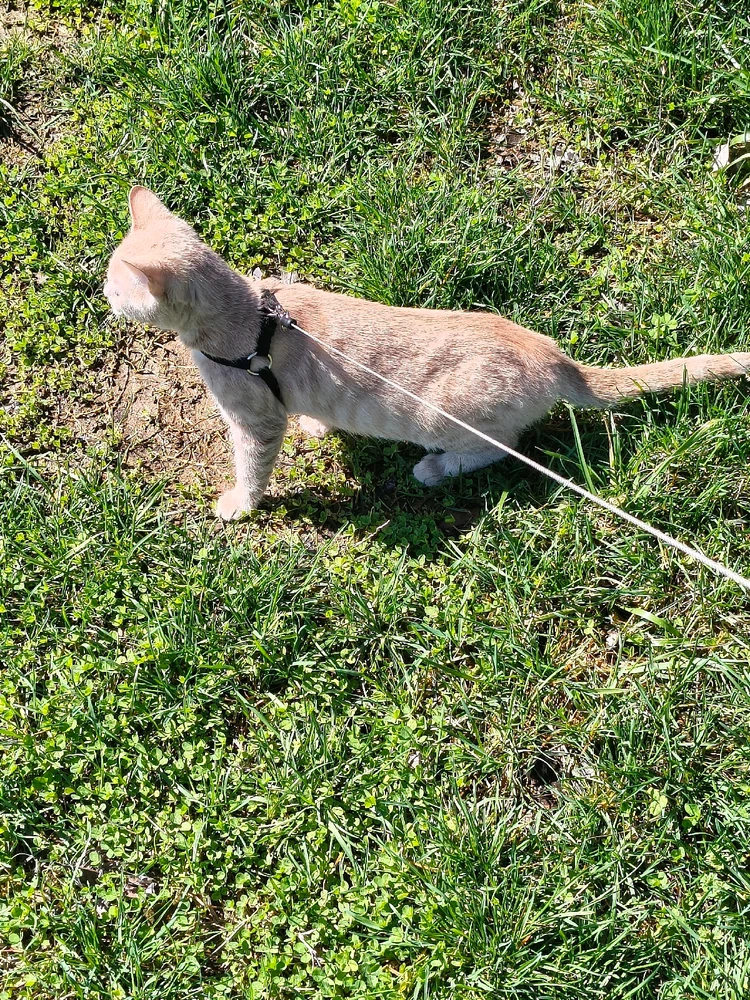 Image uploaded by Austin