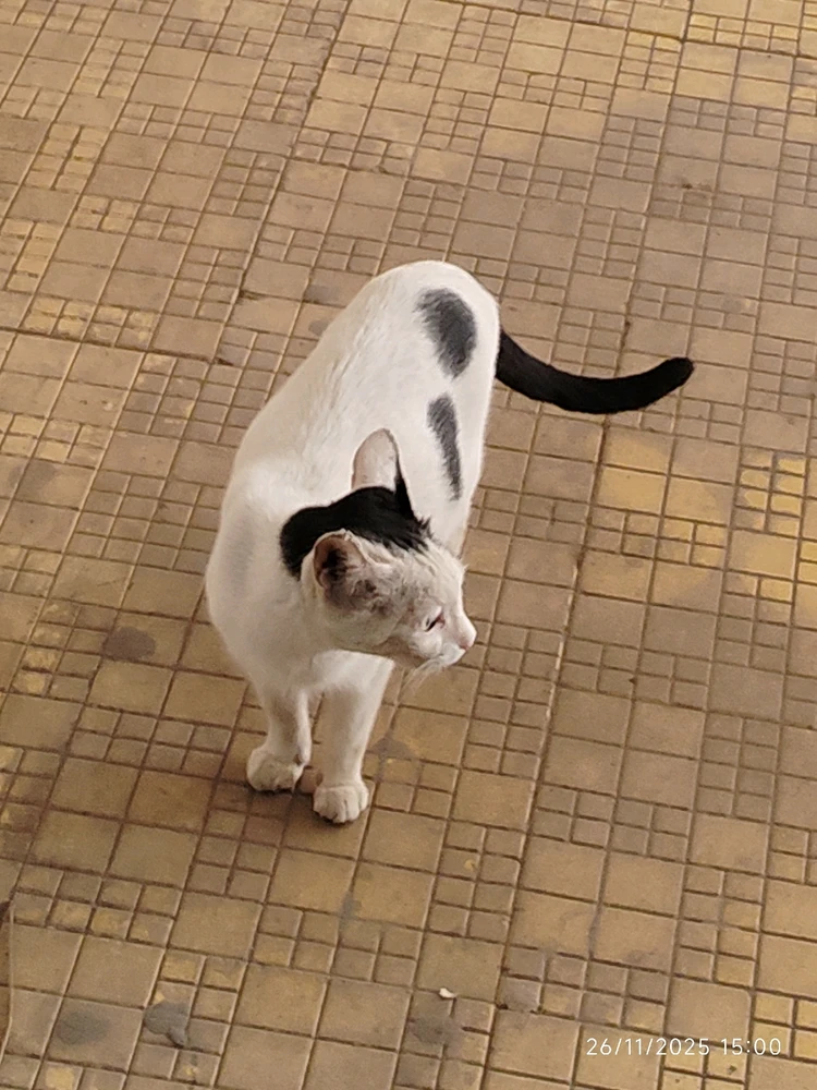 Image uploaded by Sarvesh