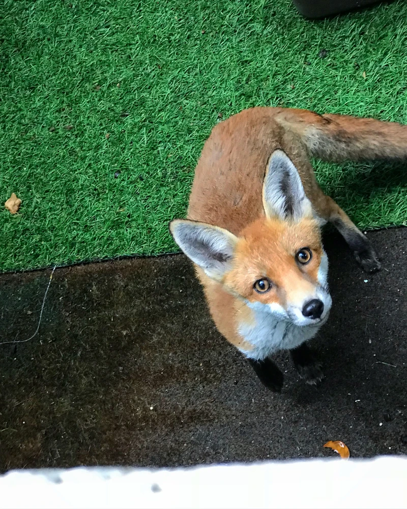 Image uploaded by Rob