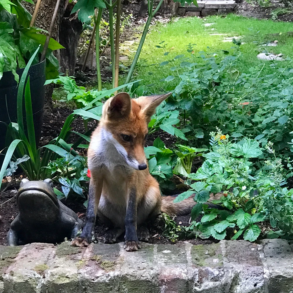 Image uploaded by Rob