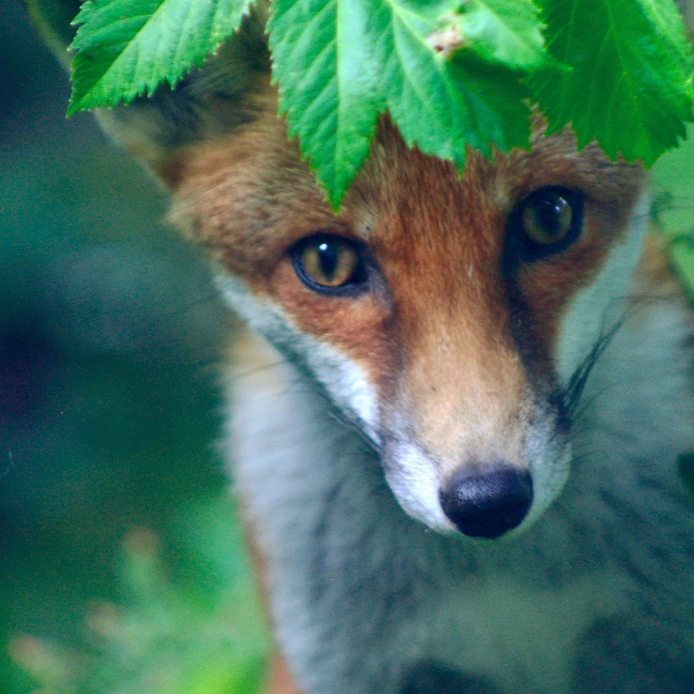 Image uploaded by Rob