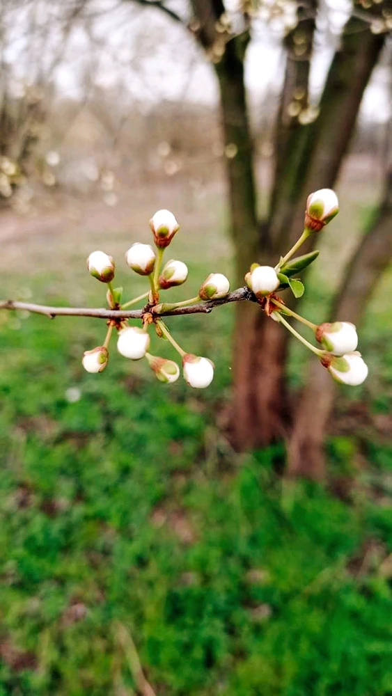 GIF dodany przez Ula